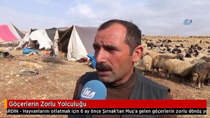 Göçerlerin Zorlu Yolculuğu