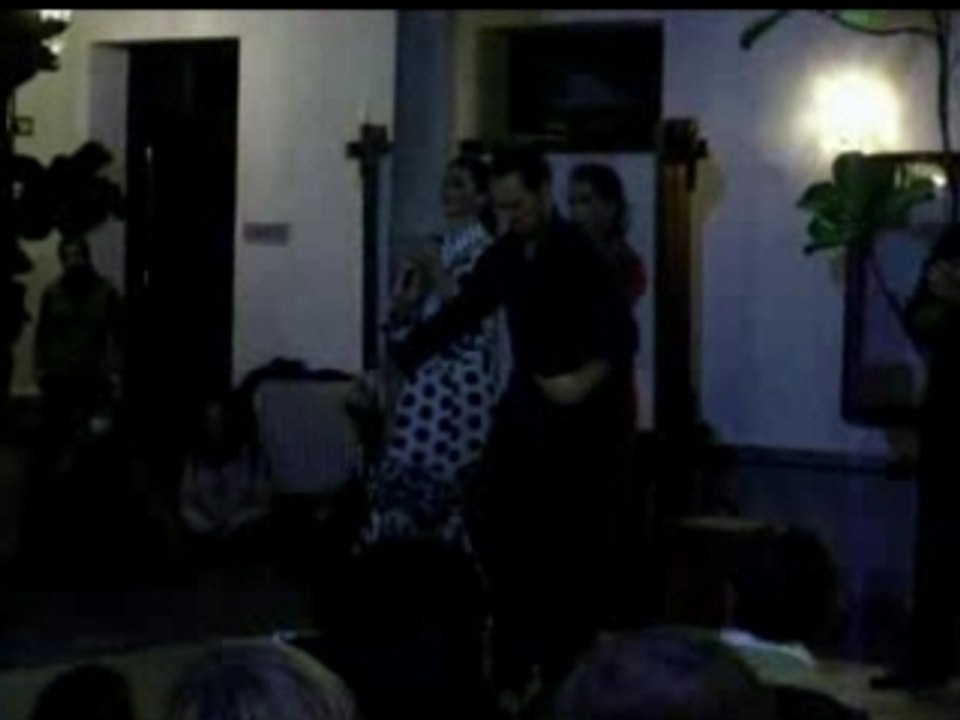 Flamenco en el centro de lengua moderna 2