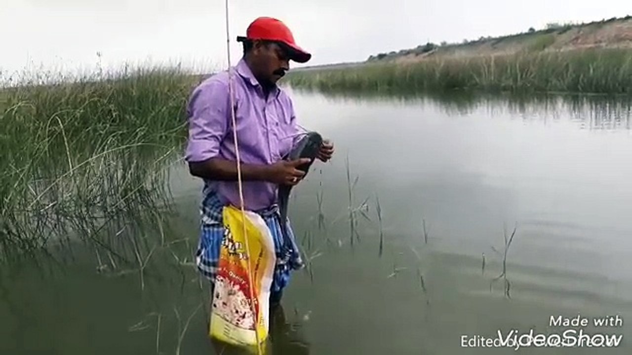 Best Fish Hunting - Awesome Boys Shoots Fish Using Crossbow Fishing - Catch n Cook