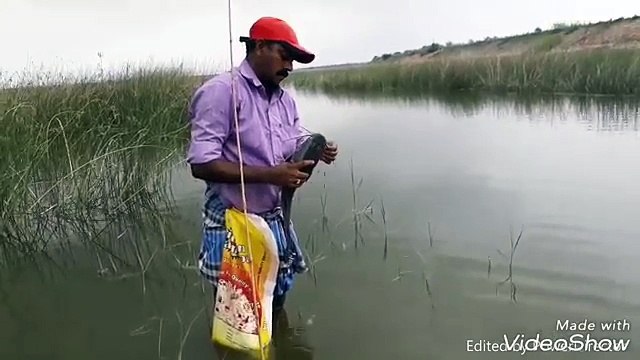 Best Fish Hunting - Awesome Boys Shoots Fish Using Crossbow Fishing - Catch n Cook
