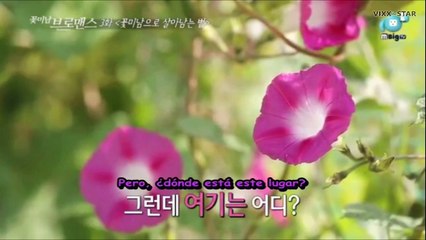 (SUB ESP) Gongchan (B1A4) & Hongbin (VIXX) EP 3 - Celebrity Bromance