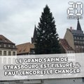 Le grand sapin de Strasbourg est fissuré, il faut (encore) le changer