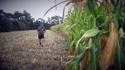 C'est de saison : Les fourrages, premier ingrédient d’un lait de qualité ?