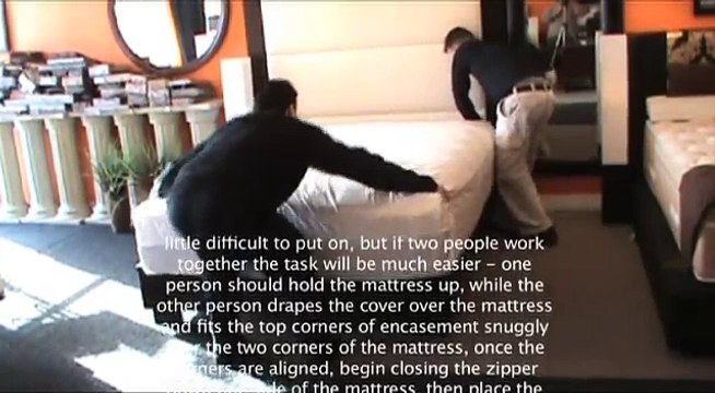 Bed Bug Solution - Ideal Mattress Bedding Protection Against Bed Bugs - pro-pest.ca