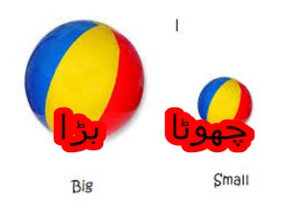 Class 1 math, lesson 1, Big and small in urdu