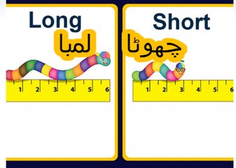 Class 1 math, lesson 3 Long and short in urdu
