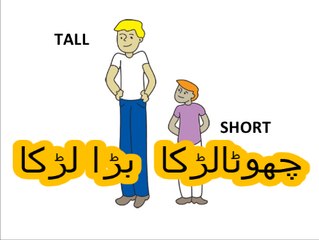 Class 1 math, lesson 2, Small and Tall in urdu