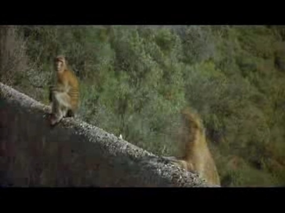 The Living Daylights (Theatrical Trailer)