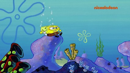 Bob l'éponge | L'araignée de mer | NICKELODEON