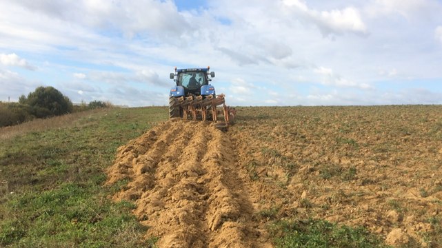 Des terres agricoles retrouvent leur vocation