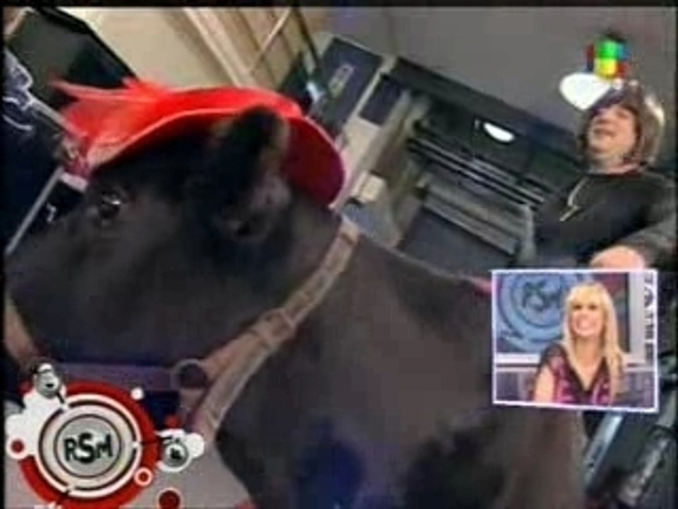 rsm - coty - y su vaca...