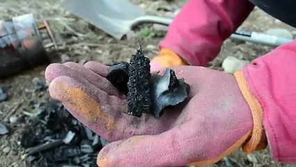 Starting a Garden: Soil Preparation, Biochar, Compost & More