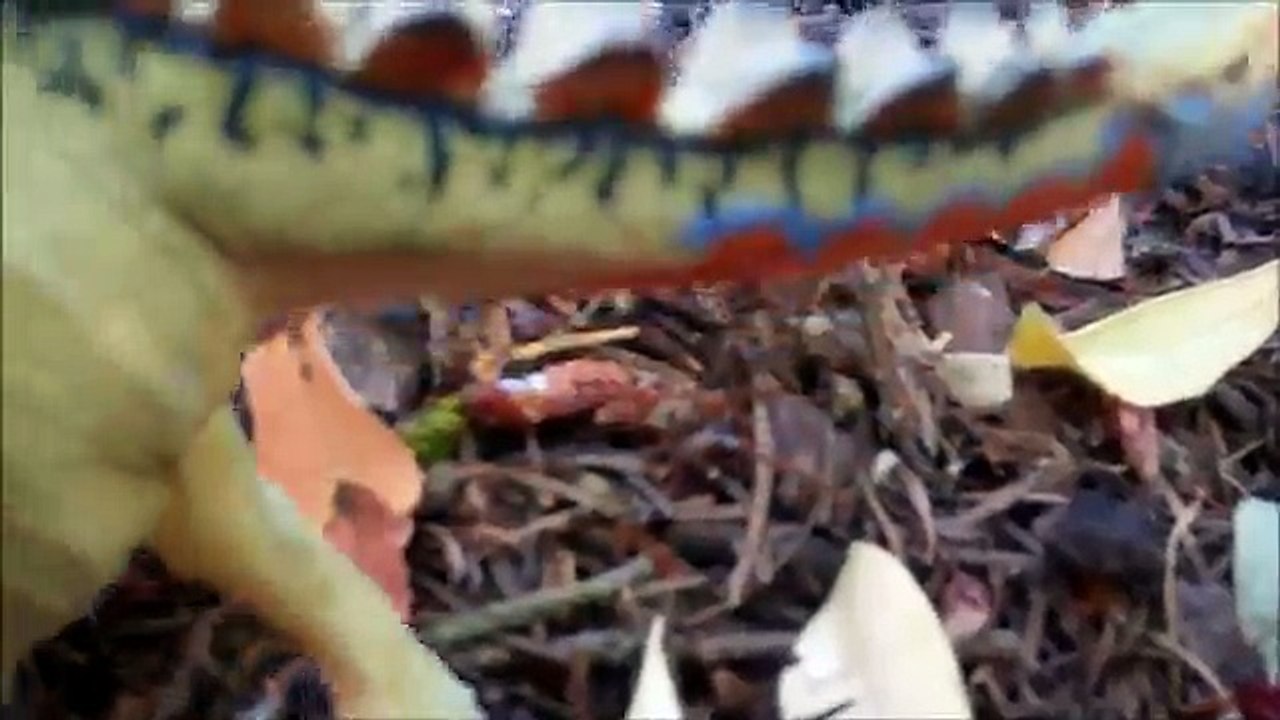 Dinosaur Island S2 EP10 Under Water Battle