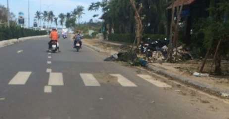 Trees Downed in Nha Trang Following Typhoon Damrey