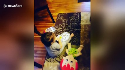 Cheeky baby steals cake