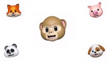 Dance Like You Mean It — Animoji Music Video