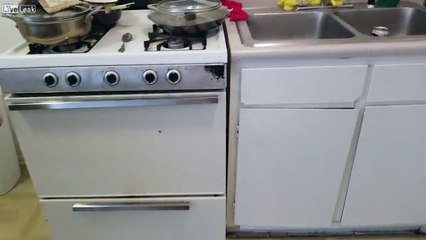 I Caught A Couple Flies Fucking On My Oven!