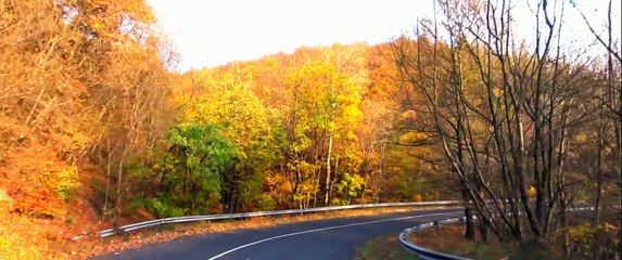 Visegrád (Panoráma út) - Dömös || Aprilia Sportcity Cube 250