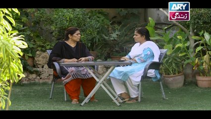 Haya Kay Rang Episode 182 In High Quality on Ary Zindagi 7th November 2017