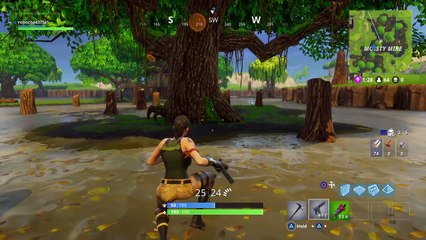 Fortnite Killed because of the stupid storm