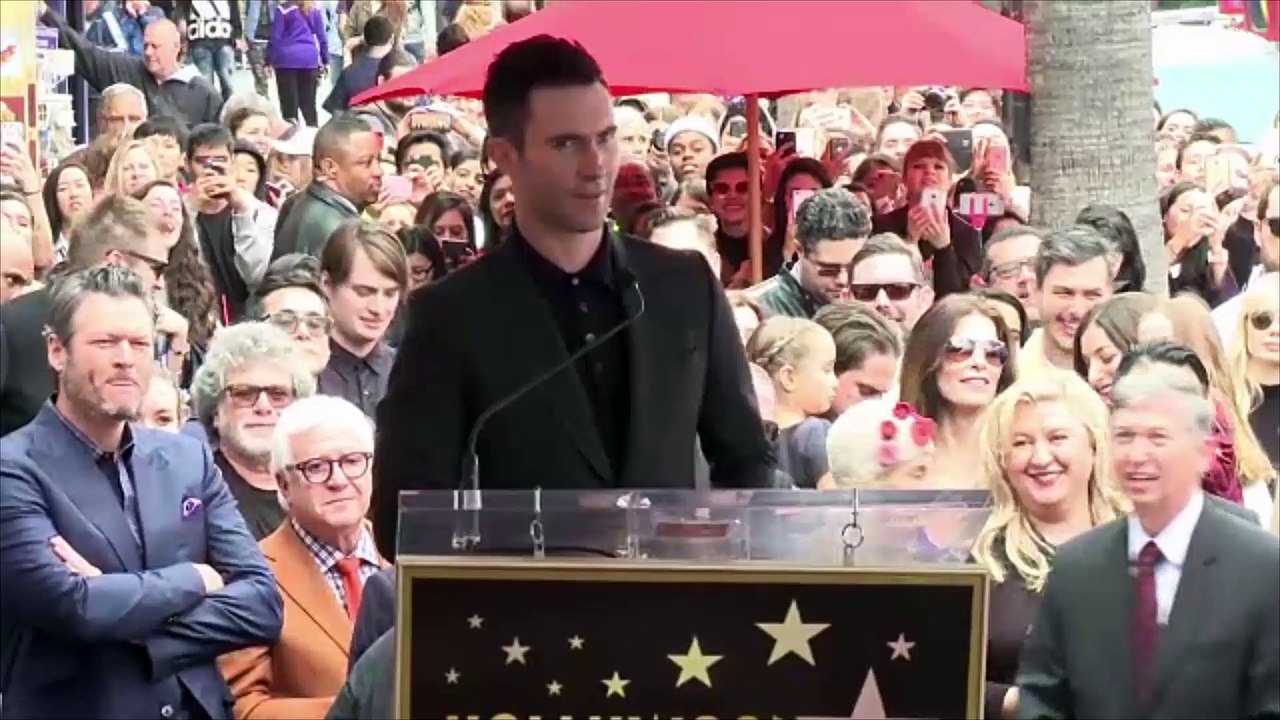 Adam Levine reveals sex of baby No. 2