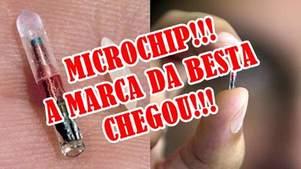 MICROCHIP A MARCA DA BESTA CHEGOU