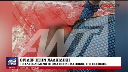 Μυστήριο με το αλυσοδεμένο πτώμα στη Χαλκιδική - Σκληρές εικόνες