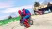 SMALL COLORS Motorbike with FUNNY Spiderman in Cars Cartoon for Kids and Nursery Rhymes for Children