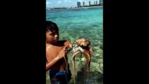 Küçük çocuk dev ahtapotu elleriyle yakaladı