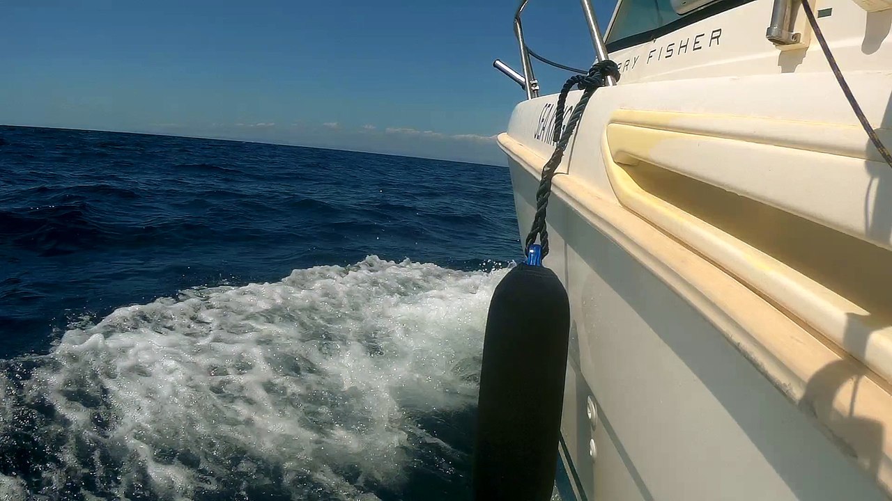 Sea Kings