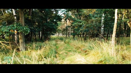 Fischland-Darß DJI Spark