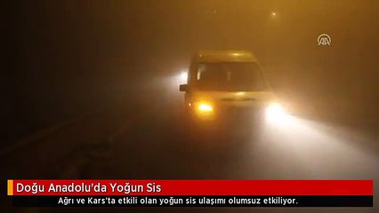 Doğu Anadolu'da Yoğun Sis