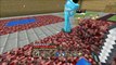 [Lets Play] Minecraft Ps3 Survie #7 Le lag de lextrème ! [FR]