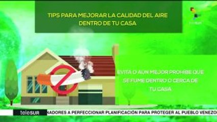 Mejora la calidad del aire dentro de tu casa