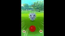 POKEMON GO GENERATION 2 RARE CATCHES!UNOWN,BLISSEY & MORE