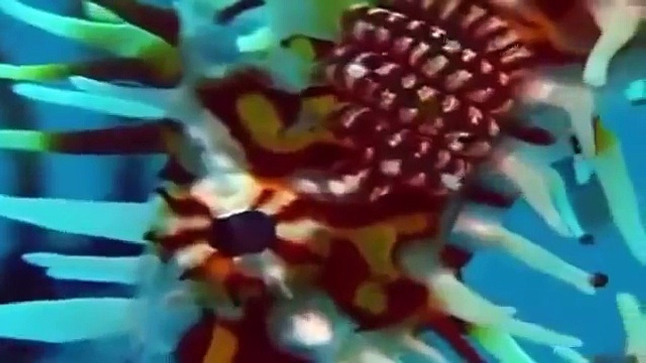 Predator versus Prey in the Oceans [Wild Ocean Documentary]