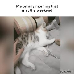 Basically dead to the world (and 100 percent OK with that)