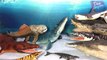 30 SEA MONSTER DINOSAURS TOYS COLLECTION for kids - Learn Dinosaur Names Prehistoric Animal