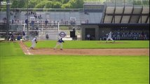 UFOS AT BASEBALL GAMES - ARE UFOS SPORTS FANS ?