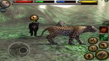 Ultimate Jungle Simulator - Leopard : Raise a Family - Android/iOS - Gameplay Episode 12