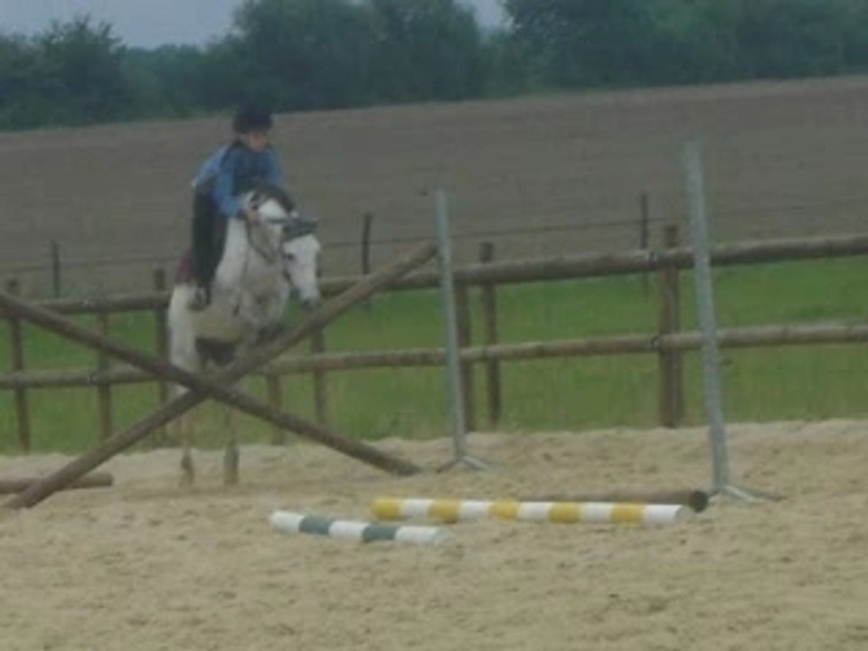 Grisette,une ponette de rêve!