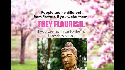 Gautam Buddha Motivational Speech Stories Quotes Video in Hindi