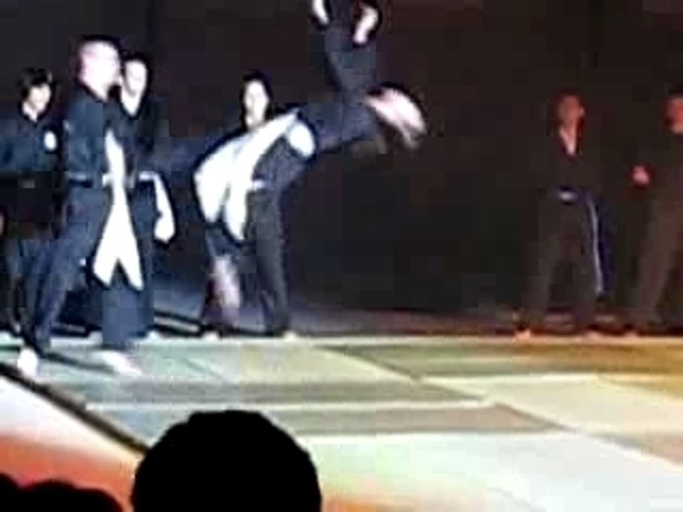 5eme Nuit des Sports Viet vo Dao