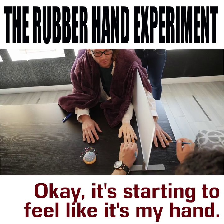 THE RUBBER HAND EXPERIMENT