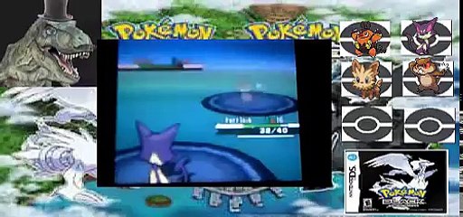 Pokémon black version #8 the evolution