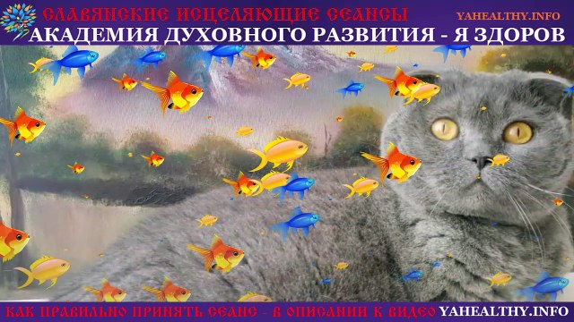 369 мурчаний проСВЕТленной кошки Мэри | Мантра для Духовного Озарения | Медитация