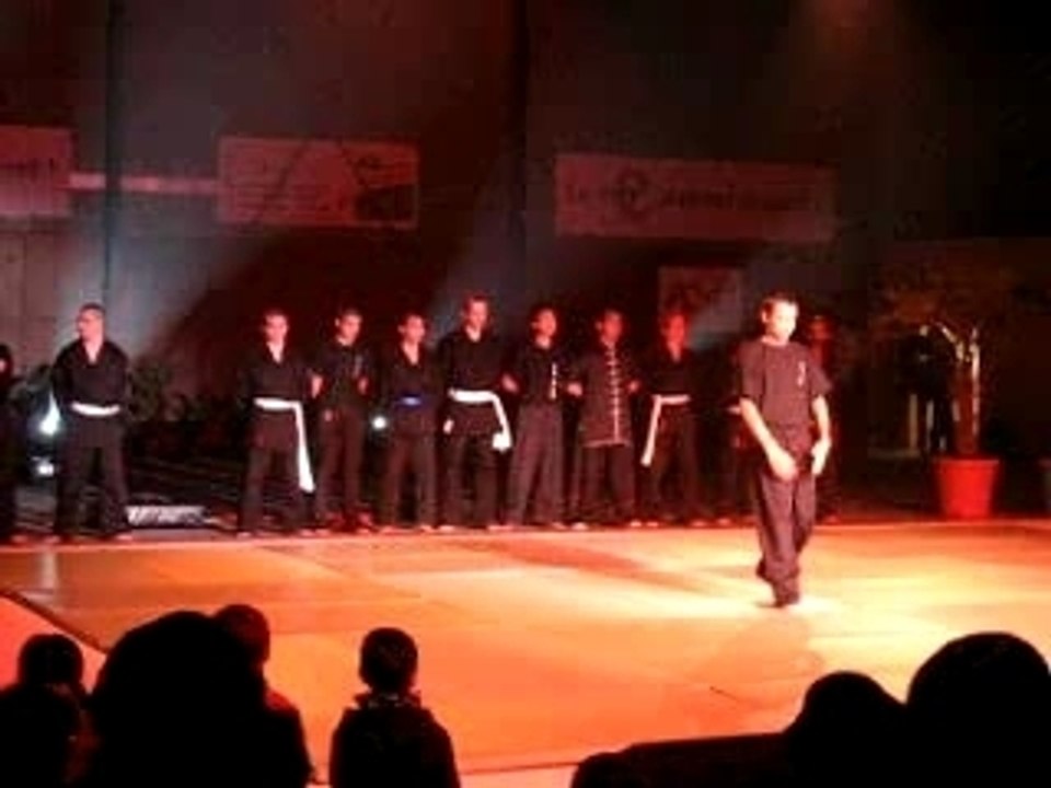 5eme Nuit des Sports Viet vo Dao 3