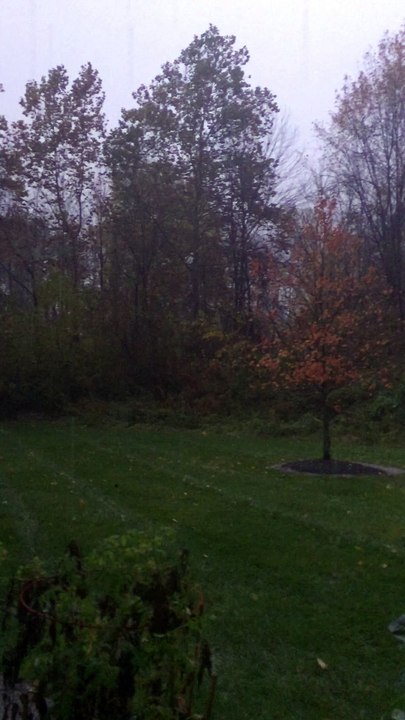 Lightning Turns Night Into Day