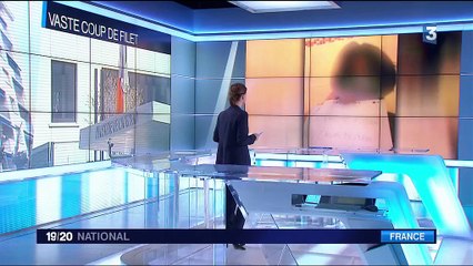 Attentat déjoué : qui est l'adolescent de 13 ans interpellé?