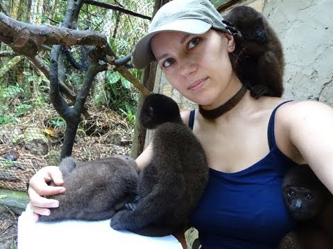 'Polish Dr Dolittle' Takes Care of Baby Woolly Monkeys